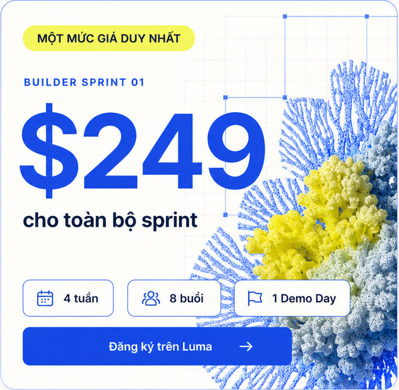 Build to Own — Builder 249 đô la, Team 899 đô la, Founder 8.990 đô la